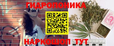 соль ск Рузаевка