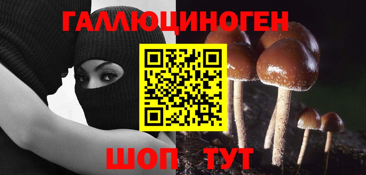 купить наркотик  Вход с VPN  Рузаевка  Галлюциногенные грибы Psilocybine cubensis 